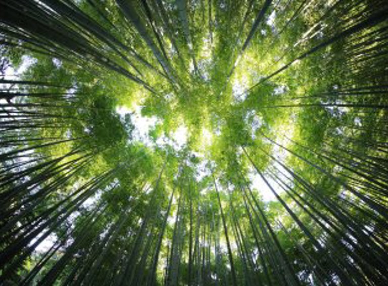 Kazuend 19Sc2oavzw0 Unsplash