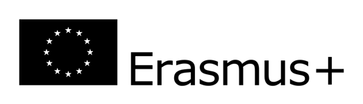 1000Px Erasmus+ Logo