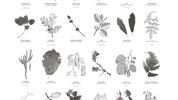 PANELEN Pagina 02 600