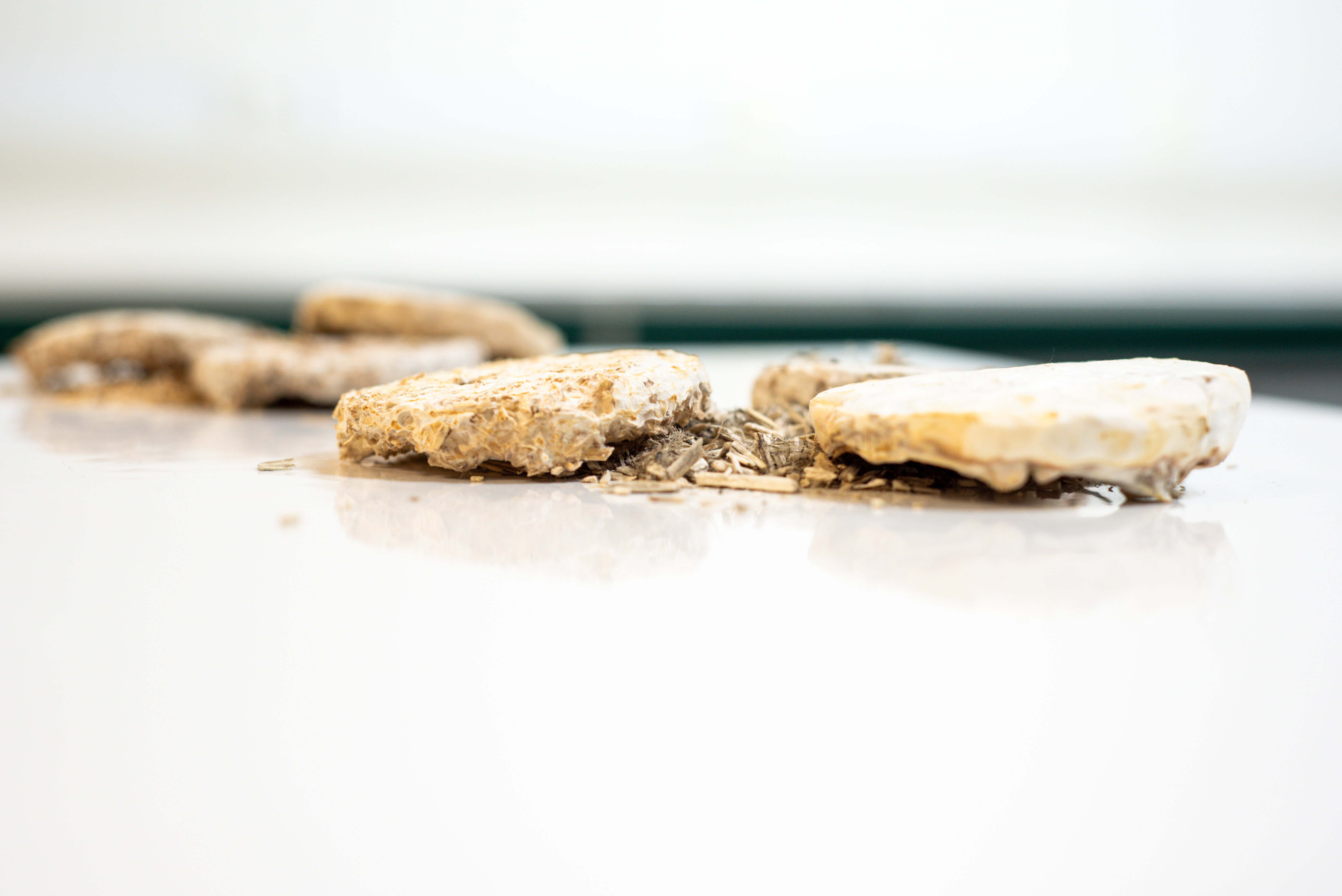 Isolatiemateriaal gemaakt uit het wortelstelsel van paddenstoelen (mycelium)