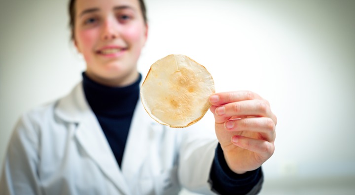 foto: isolatiematerialen gemaakt uit mycelium