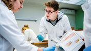 Practicum Snijzaal 11