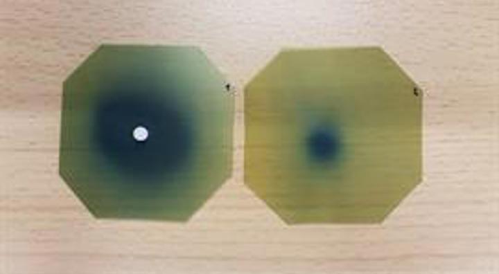 SRS Irradiated Films 2