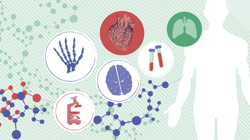 Biomed Banner Tekening