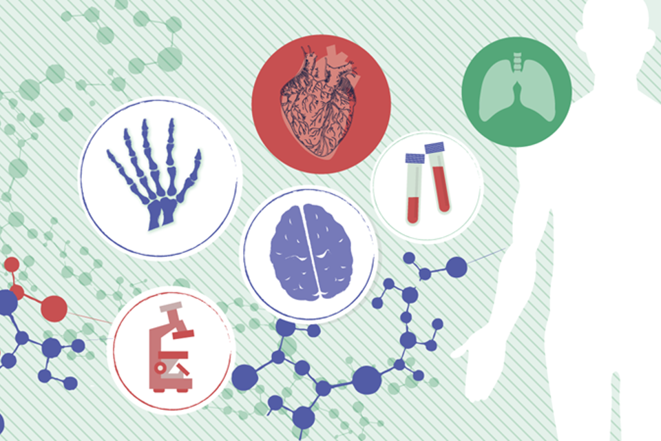 Biomed Banner Tekening