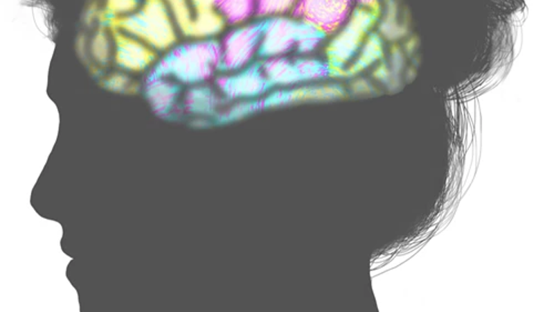Mind (1)