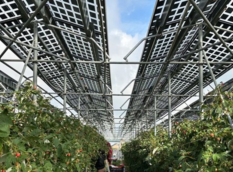 Voorbeeld Van Agri PV