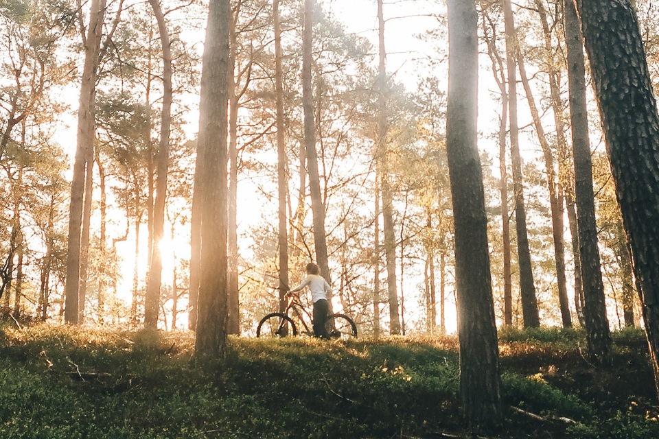 Burnout Natuur
