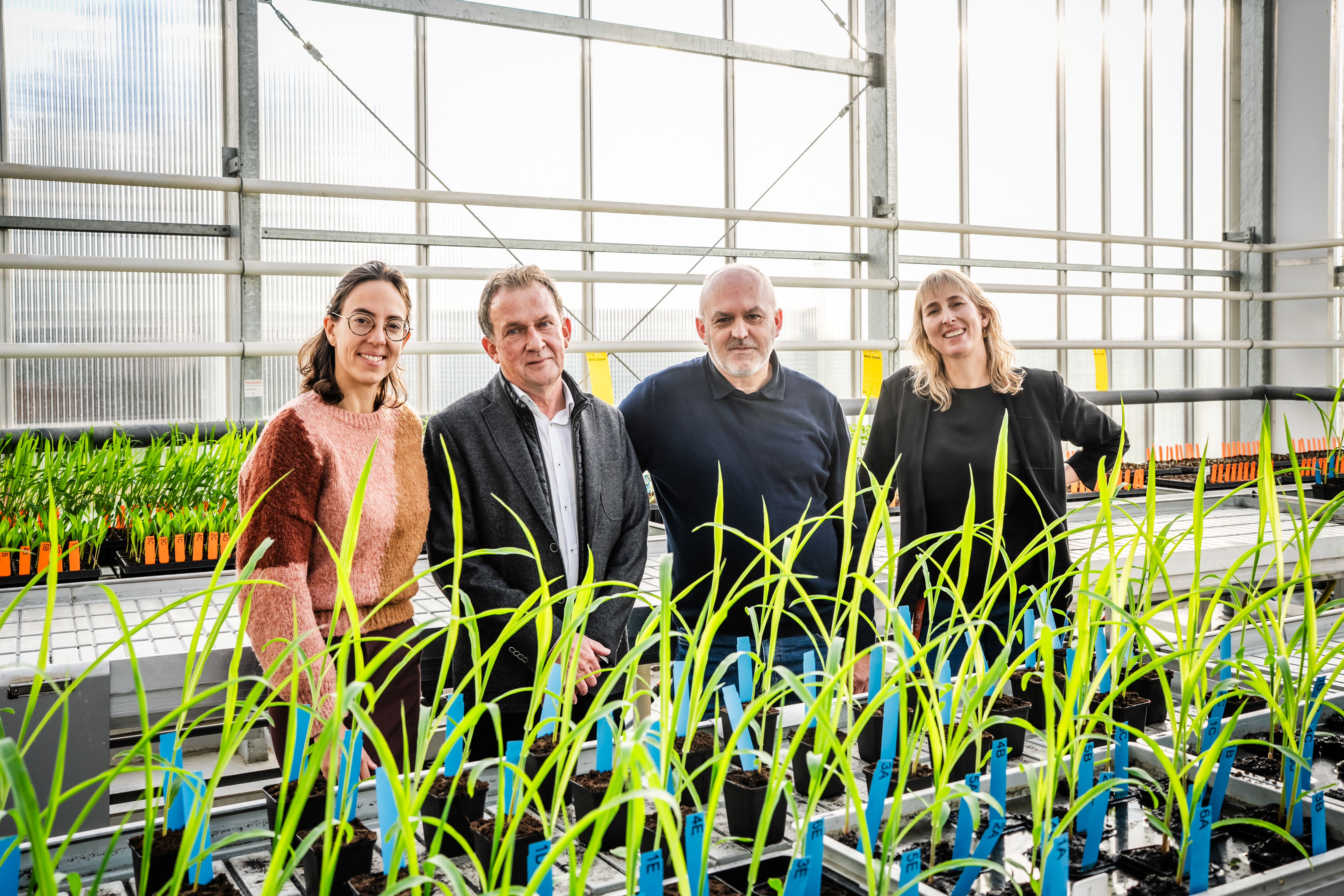 Uhasselt Globachem
