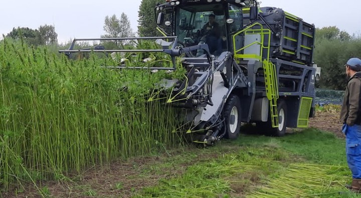 Pfas Sofie Thijs Zwijndrecht Hennep