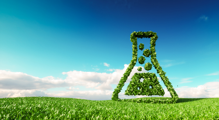 Erlenmeyer green