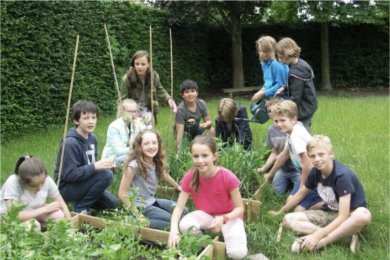 Tuimelaar Hasselt